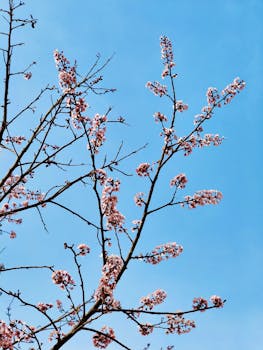  北京三月春光暖；代表齐心议国是，闭幕盛会传信心。 新闻 北京三月春光暖；代表齐心议国是，闭幕盛会传信心。 新闻