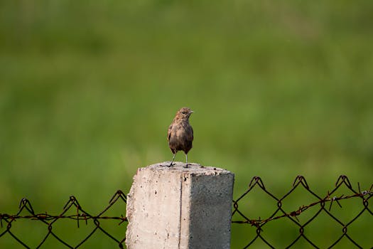  面试中面对未来规划提问，HR最想听到的思路清晰表达；路径比目标更具说服力。 教育招生