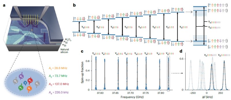  硅基量子计算容错之路：逻辑门实现与错误探测的双重突破 IT技术 硅基量子计算容错之路：逻辑门实现与错误探测的双重突破 IT技术