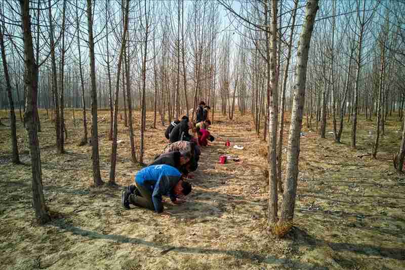  城乡待客成本差异：回村祭祖无人留饭背后的经济学账 文化旅游