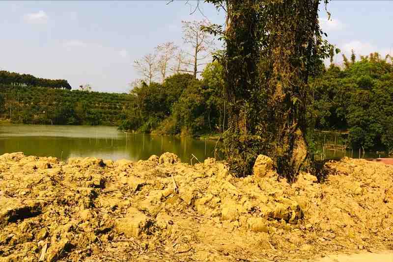  城乡待客成本差异：回村祭祖无人留饭背后的经济学账 文化旅游