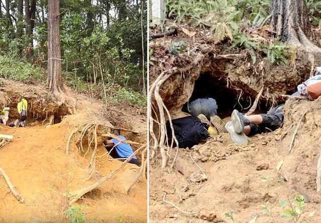 【深度复盘】“淘晶热”背后的生态警示：一次网红活动如何演变成山体浩劫