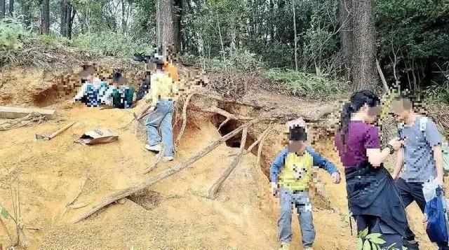  【深度复盘】“淘晶热”背后的生态警示：一次网红活动如何演变成山体浩劫 新闻