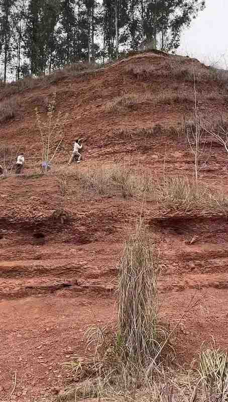  【深度复盘】“淘晶热”背后的生态警示：一次网红活动如何演变成山体浩劫 新闻