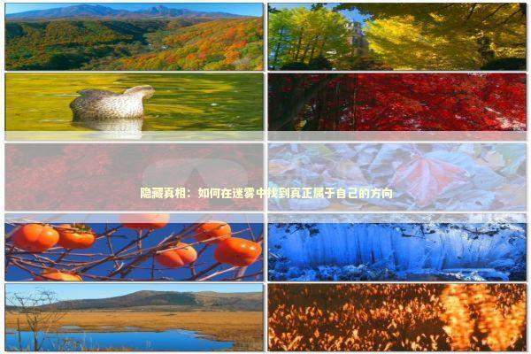 隐藏真相：如何在迷雾中找到真正属于自己的方向 新闻
