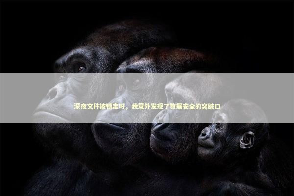 深夜文件被锁定时，我意外发现了数据安全的突破口