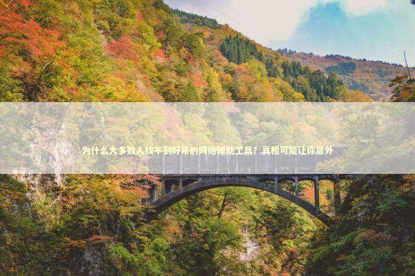 为什么大多数人找不到好用的网络辅助工具？真相可能让你意外