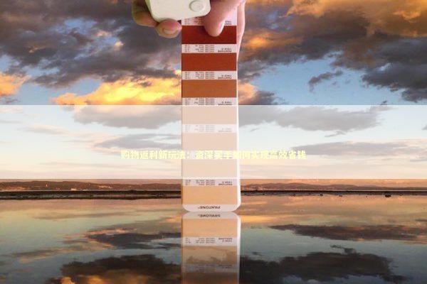 购物返利新玩法：资深买手如何实现高效省钱