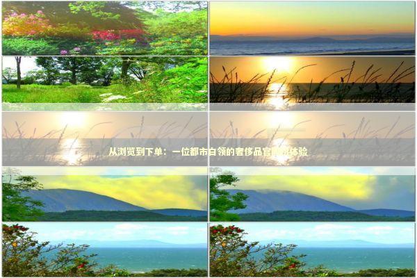 从浏览到下单：一位都市白领的奢侈品官网初体验 时尚用品