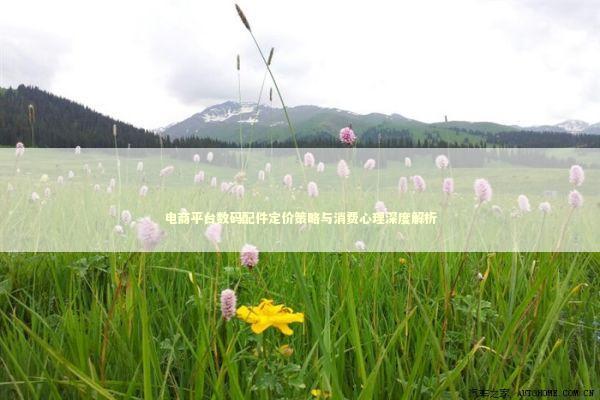 电商平台数码配件定价策略与消费心理深度解析 IT技术